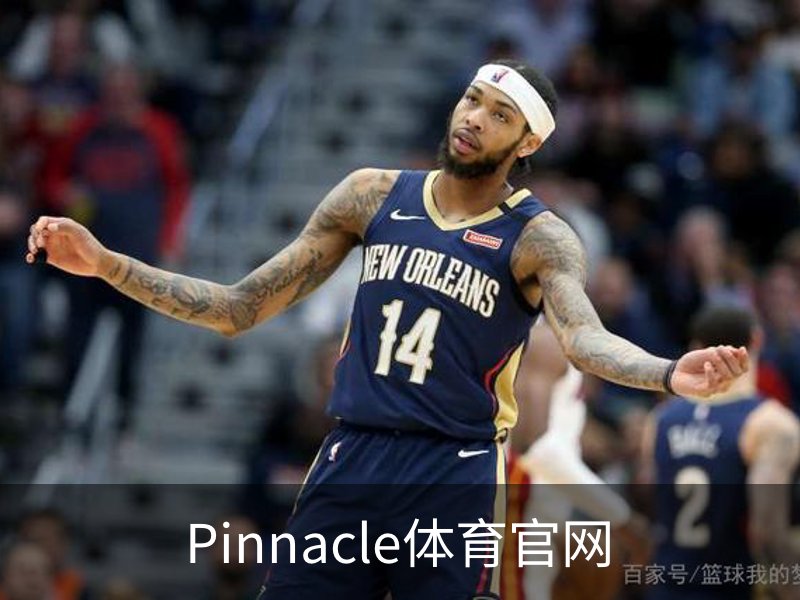 Pinnacle体育官网概况
